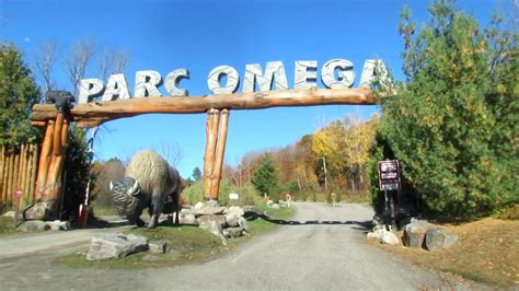 parc omega montebello quebec canada|parc omega discount.